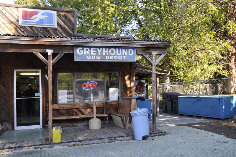 Greyhound - 3